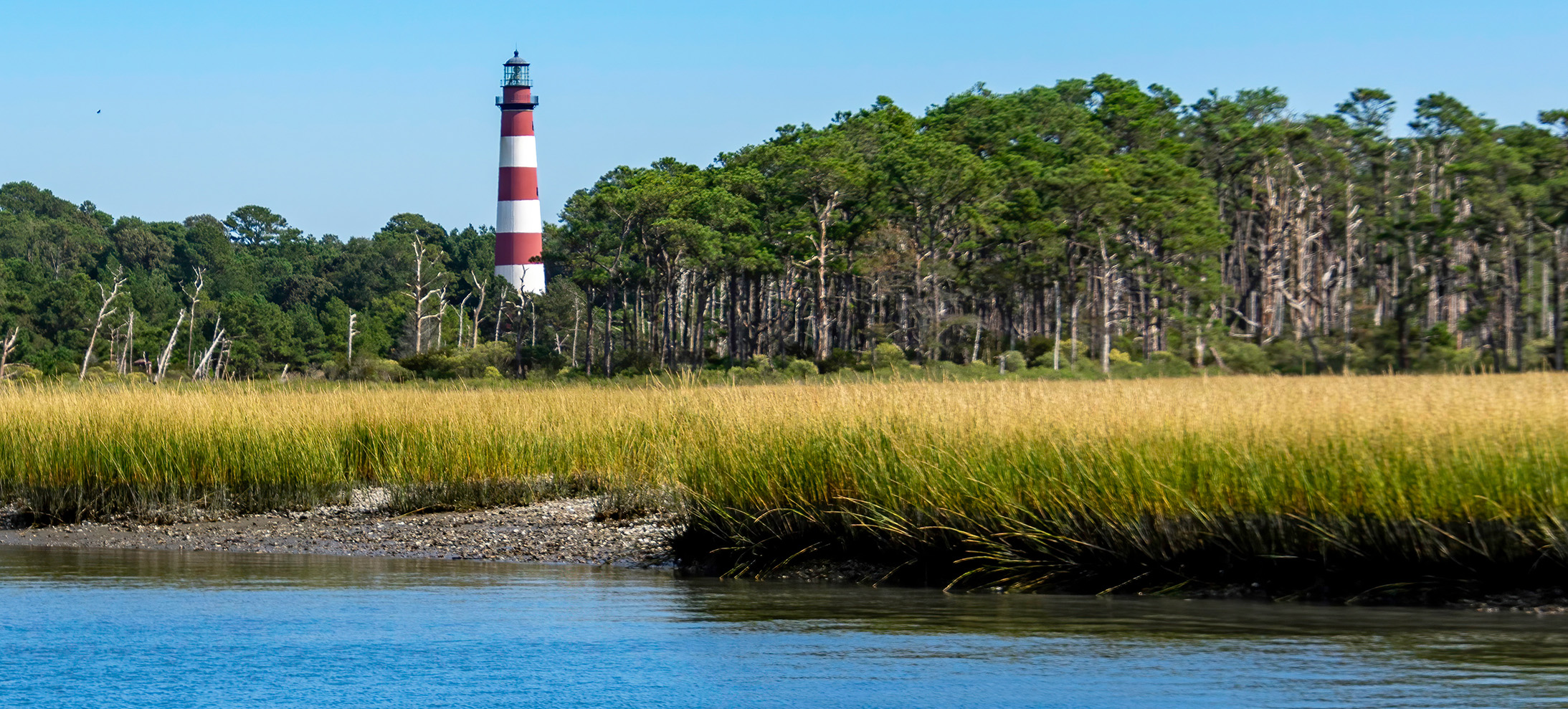 Assateague Island Chincoteague   Assateague Island Hero 